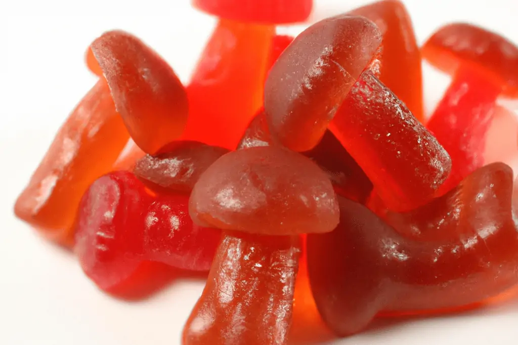 mushroom gummies effects